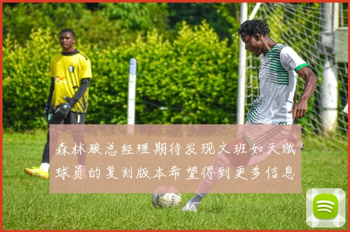 森林狼总经理期待发现文班如天赋球员的复刻版本希望得到更多信息